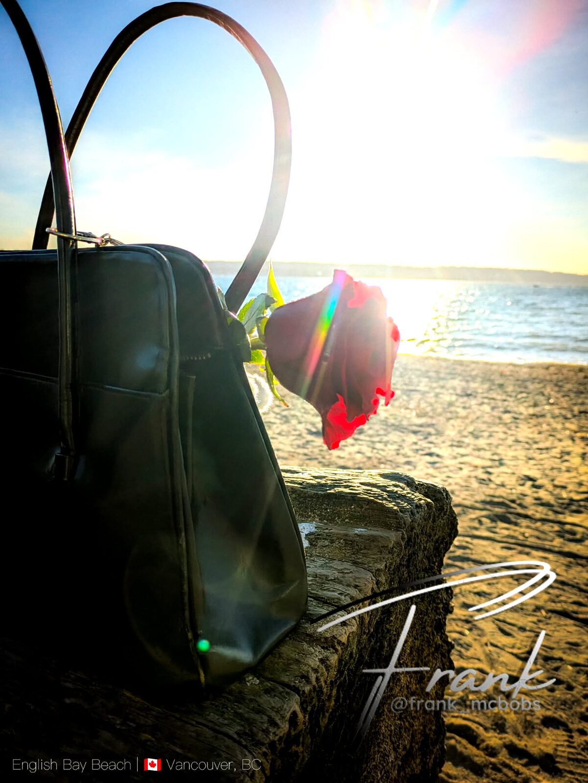 Black Bag, Red Rose