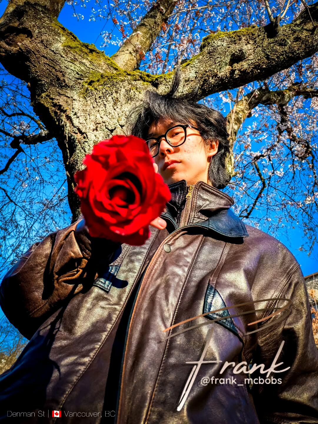 Rose, Up