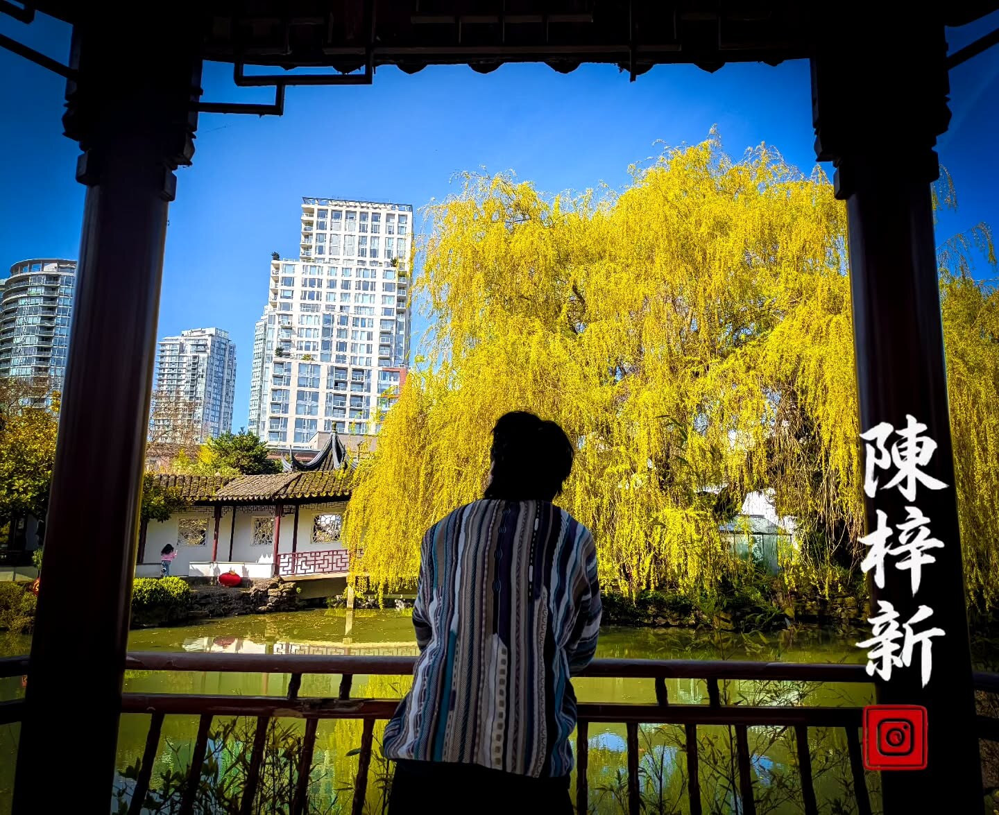 Willow, City Behind
