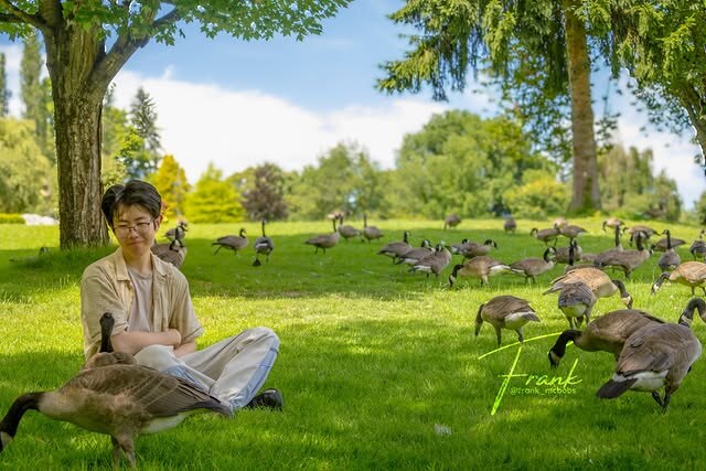 Composite Geese